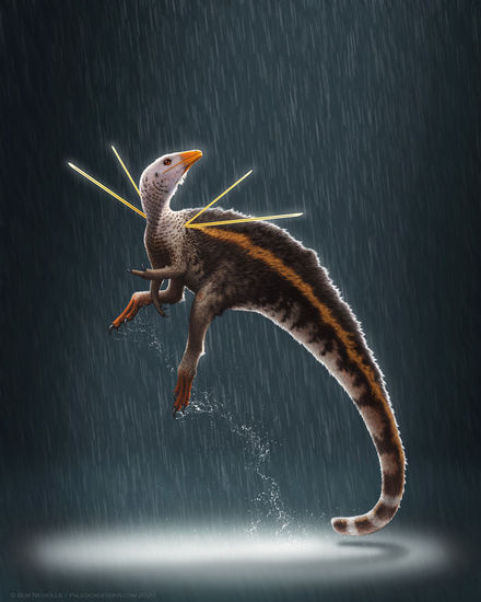 Tumnagel