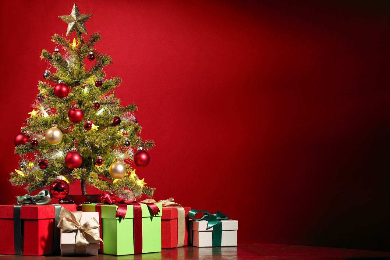 Vad fick du i julklapp?