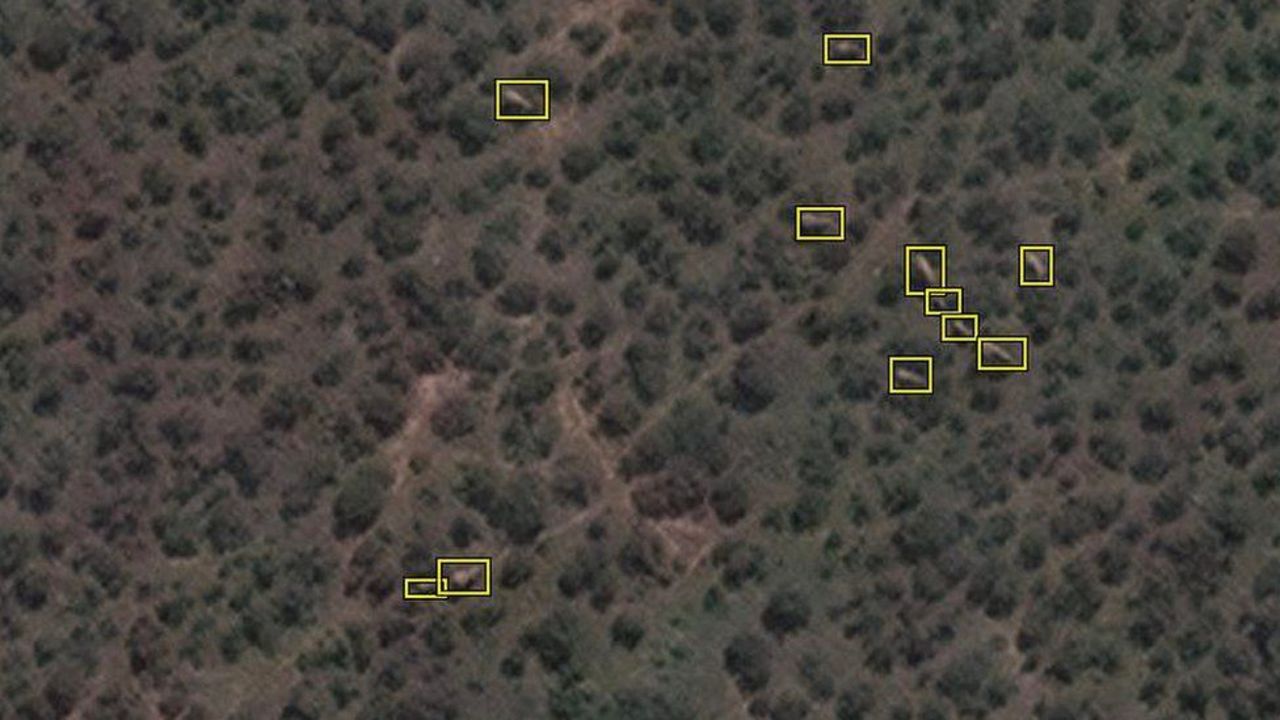 Artificiell intelligens räknar elefanter från rymden