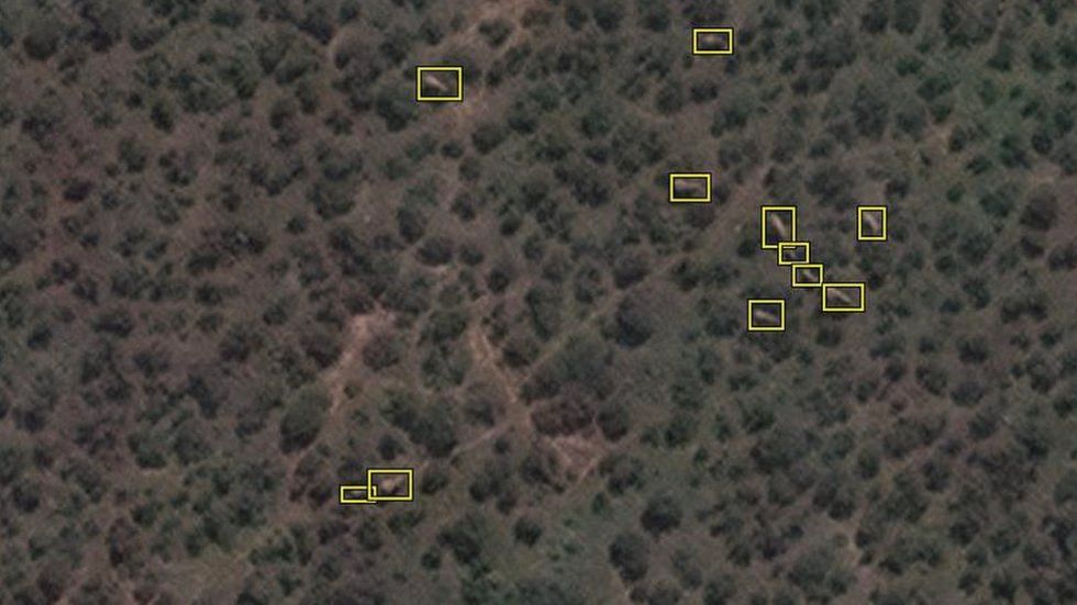Artificiell intelligens räknar elefanter från rymden