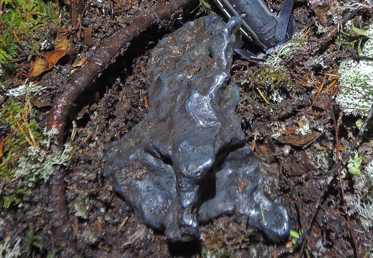 Del av meteoriten som slog ner i Sverige förra året upphittad. Första ...