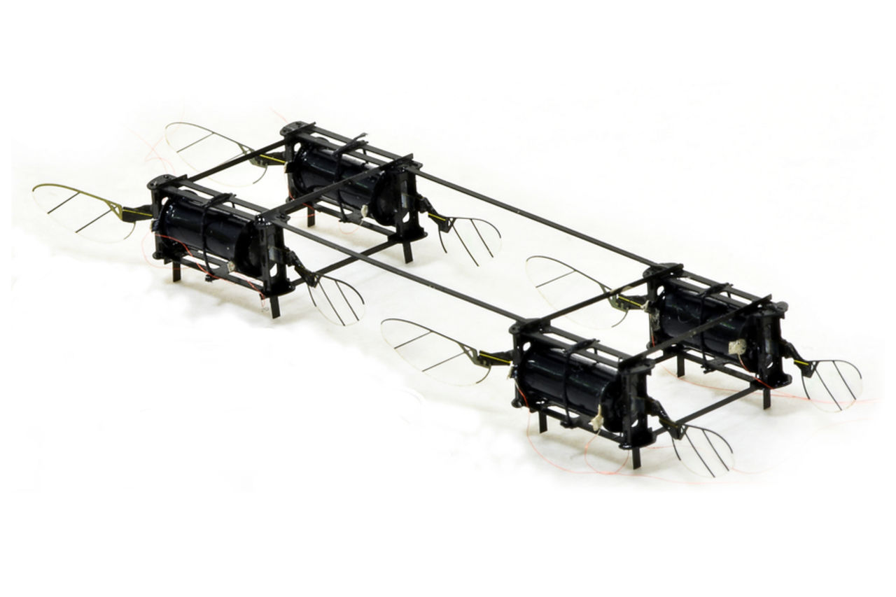 Forskare visar upp drönare som flyger som insekter