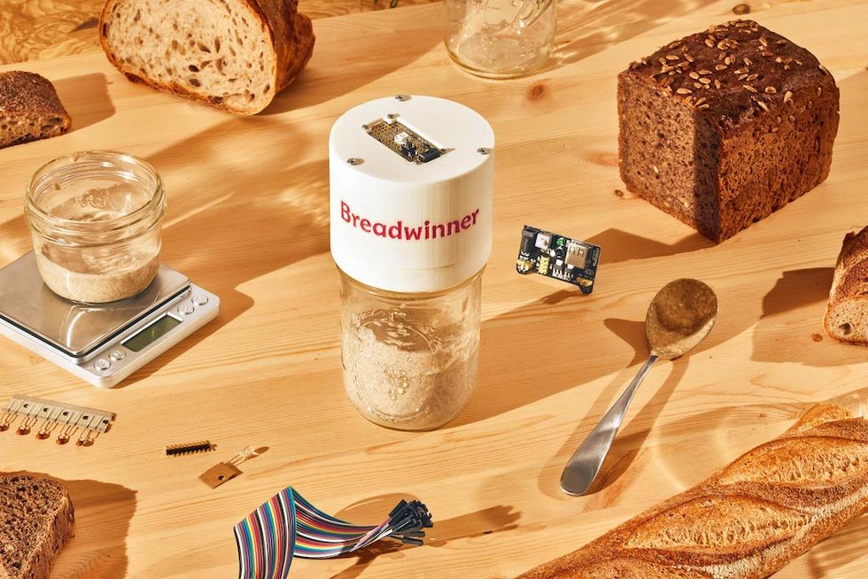 Breadwinner håller koll på din surdeg