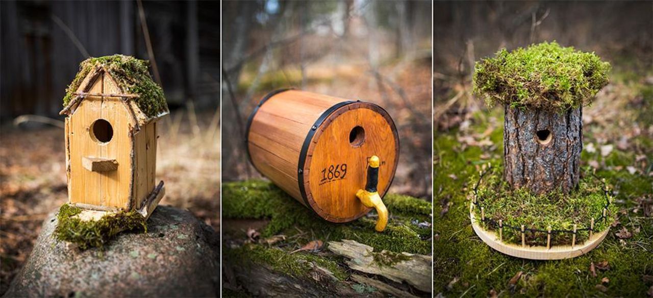 Här är vinnarna i SM i Fågelholk