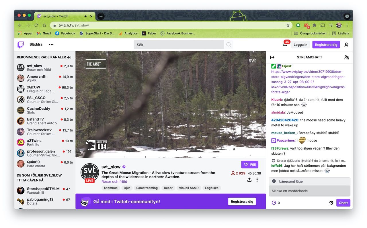 Nu kan man kolla in Den stora älgvandringen på Twitch