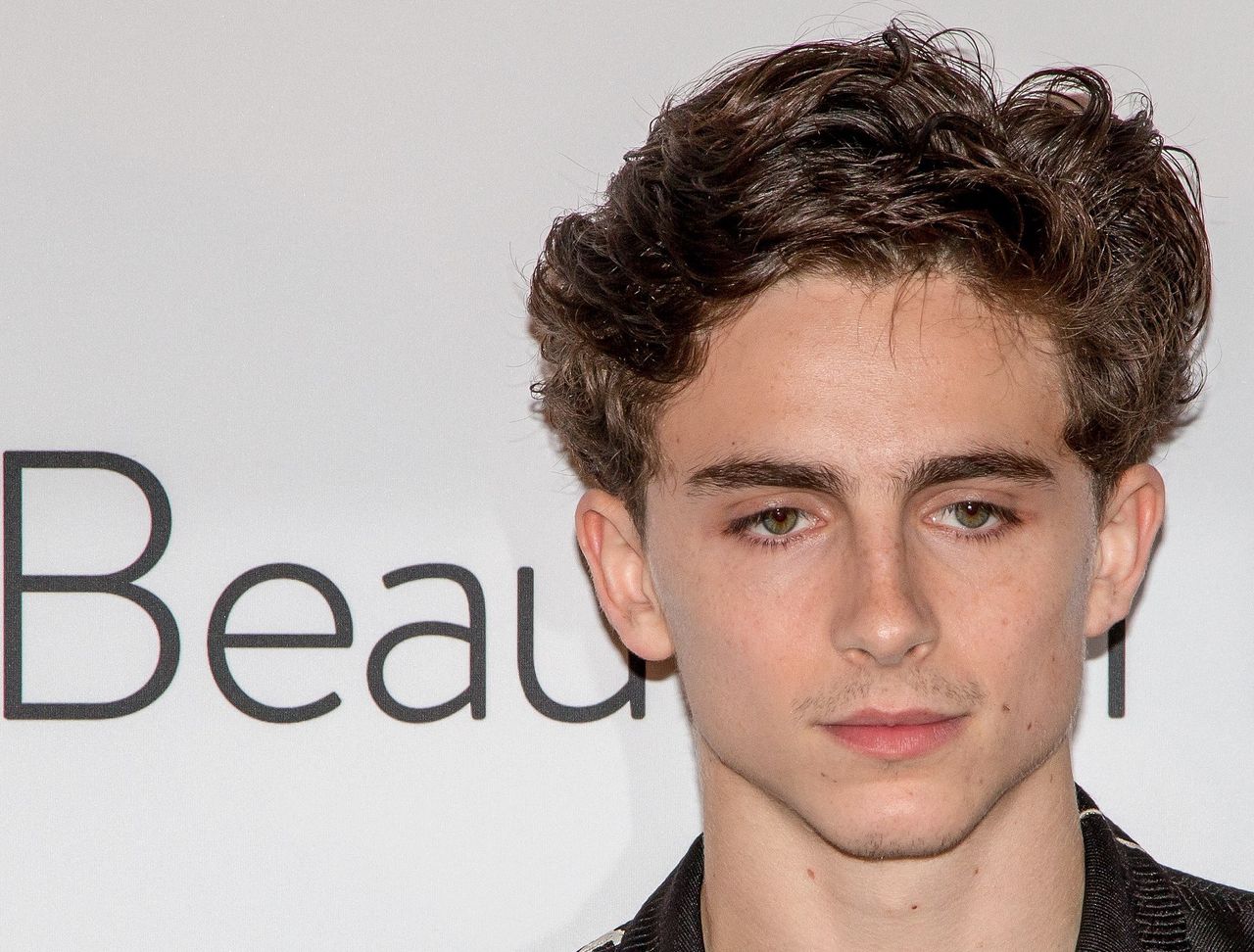 Timothée Chalamet ska spela Willy Wonka