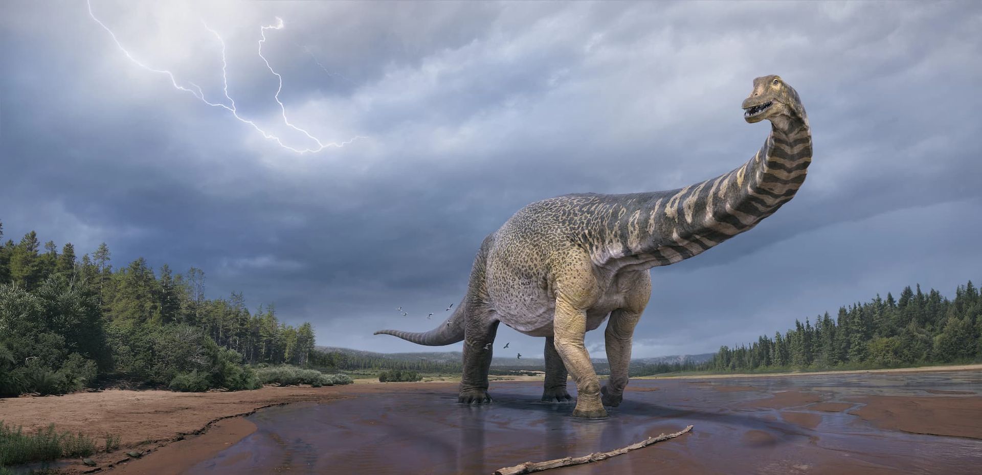 Tidigare okänd jättedinousaurieart hittad i Australien