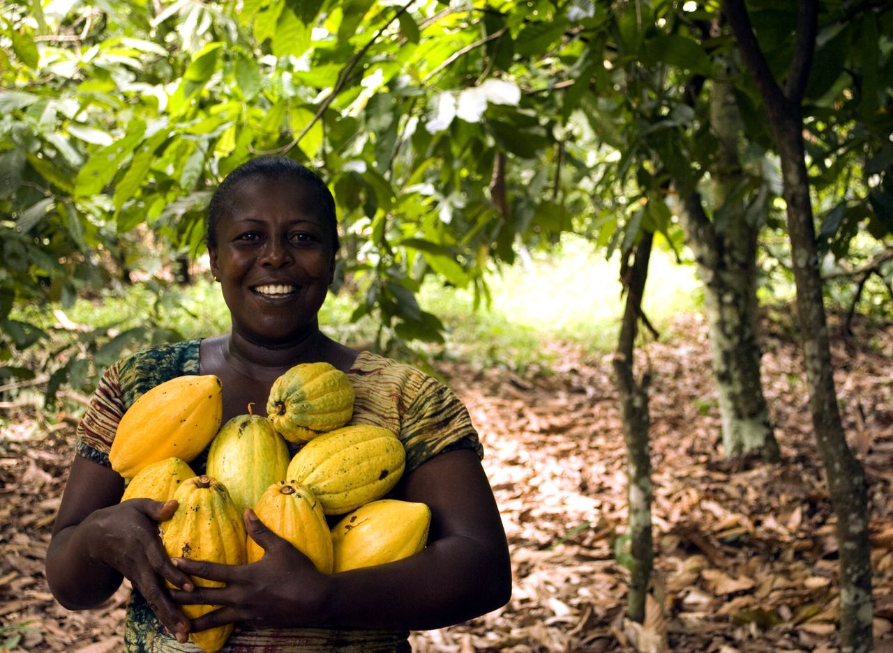 Ghana planterade fem miljoner träd