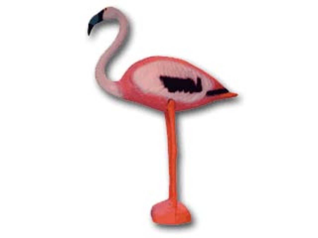 Vad sägs om en liten flamingo?