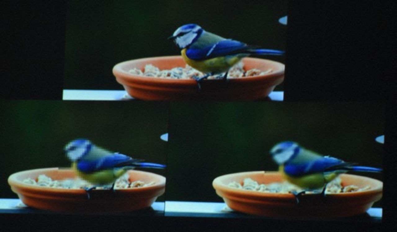 Snubbe gripen i Japan för att unblurrat porrfilmer med AI