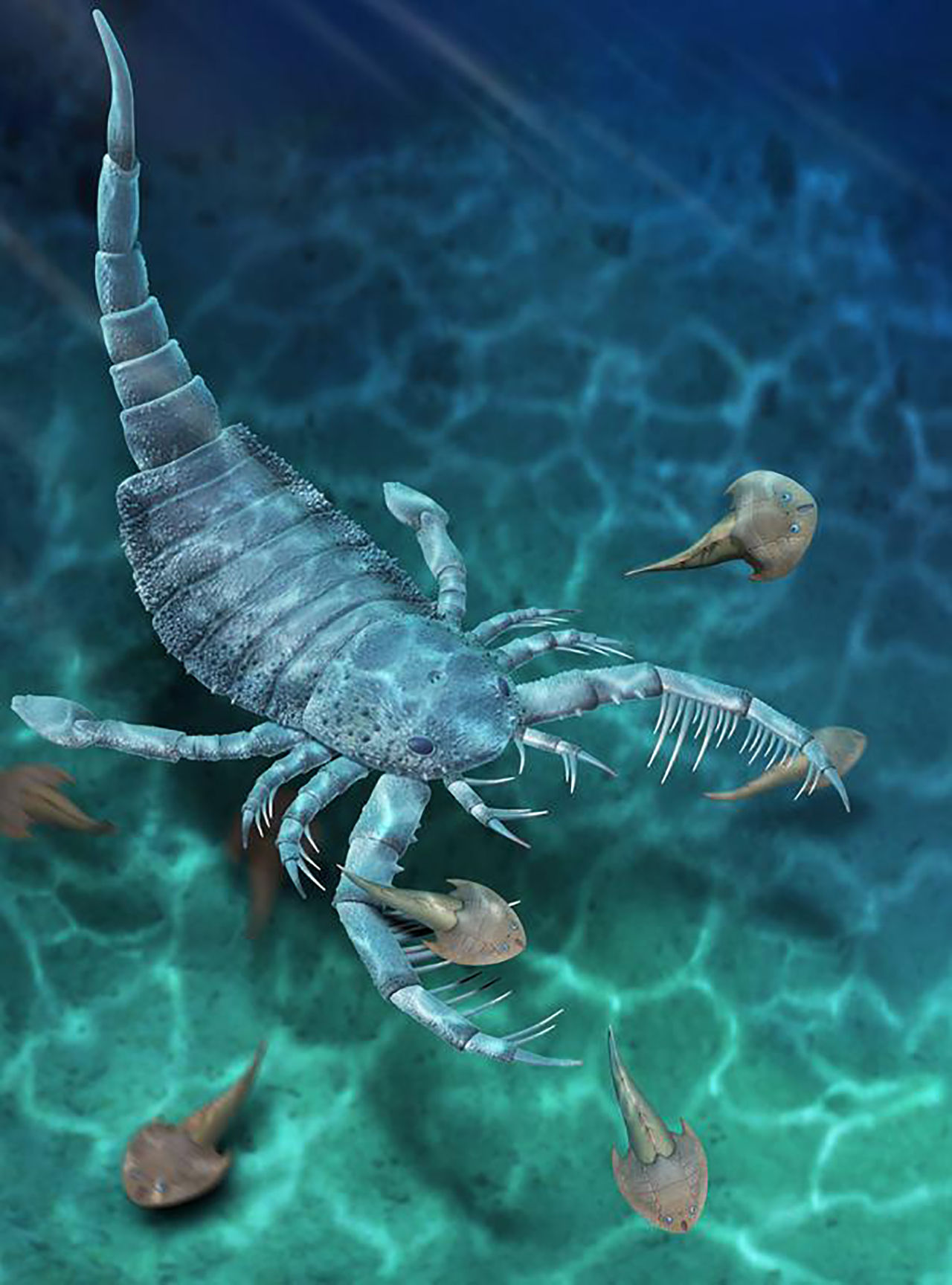 Det fanns skorpioner stora som hundar för miljontals år sedan