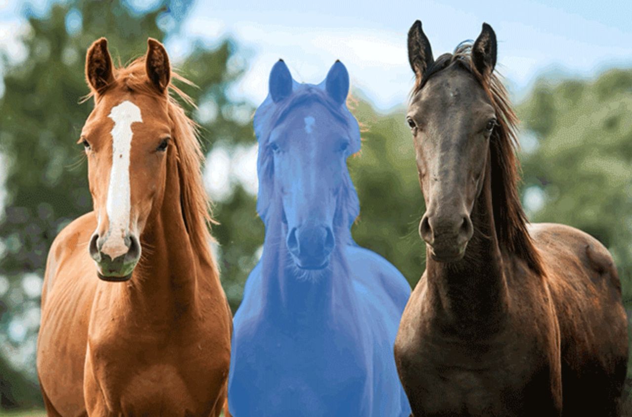 AI gör det enklare att selektera grejer i Photoshop