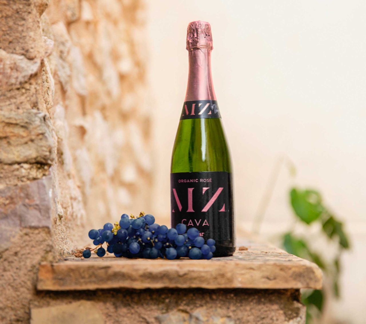 Måns Zelmerlöw släpper rosé-cava