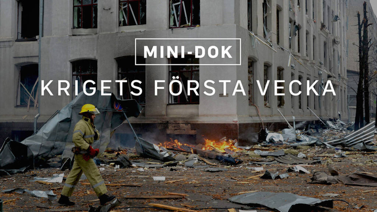 Minidokumentär om invasionen av Ukraina