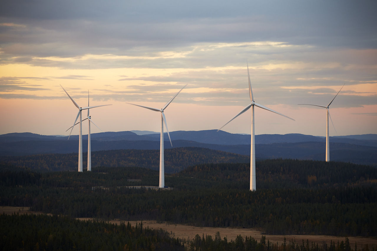 Rekordmycket vindkraft stoppades förra året