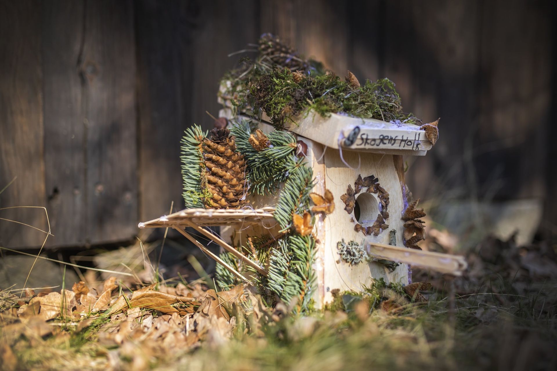 Här är landets bästa fågelholkar