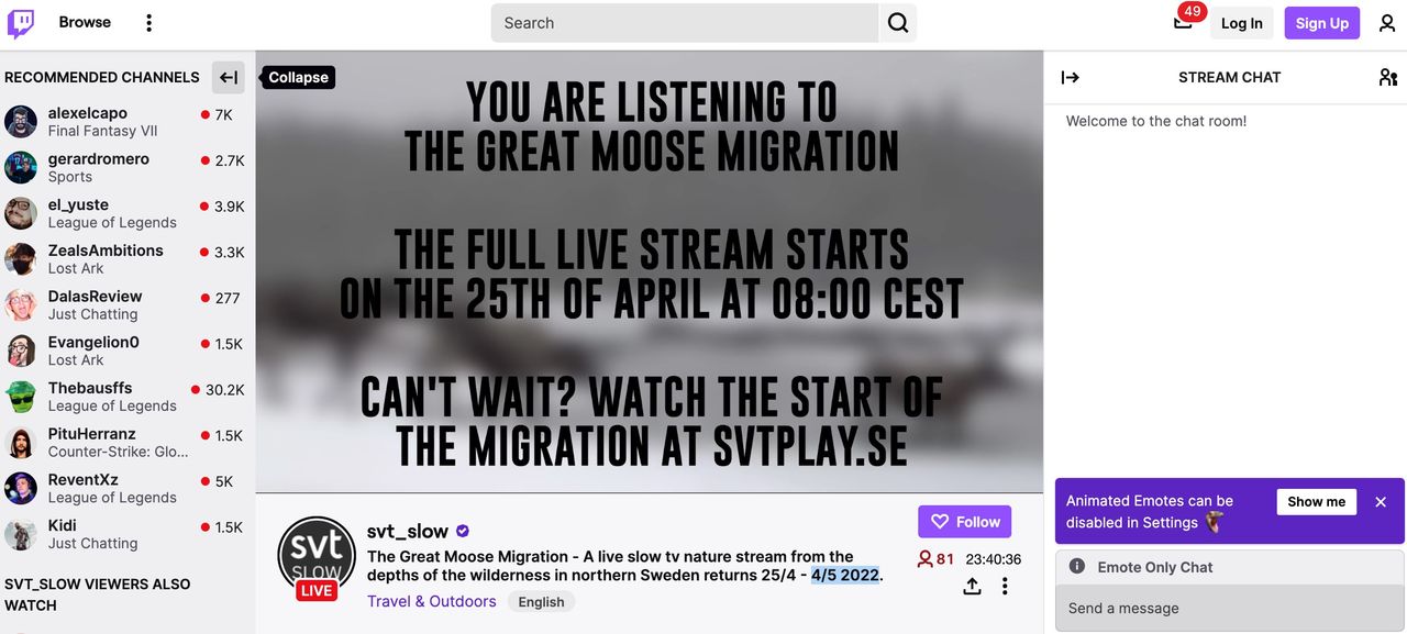 I morgon drar Den stora älgvandringen igång igen