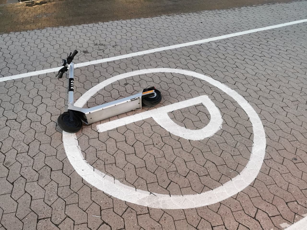 Birds system hittar parkeringsplatser åt elsparkcyklar