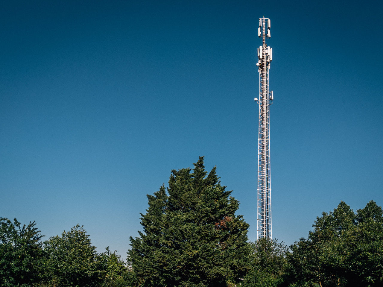 5G-användandet ökar i Sverige