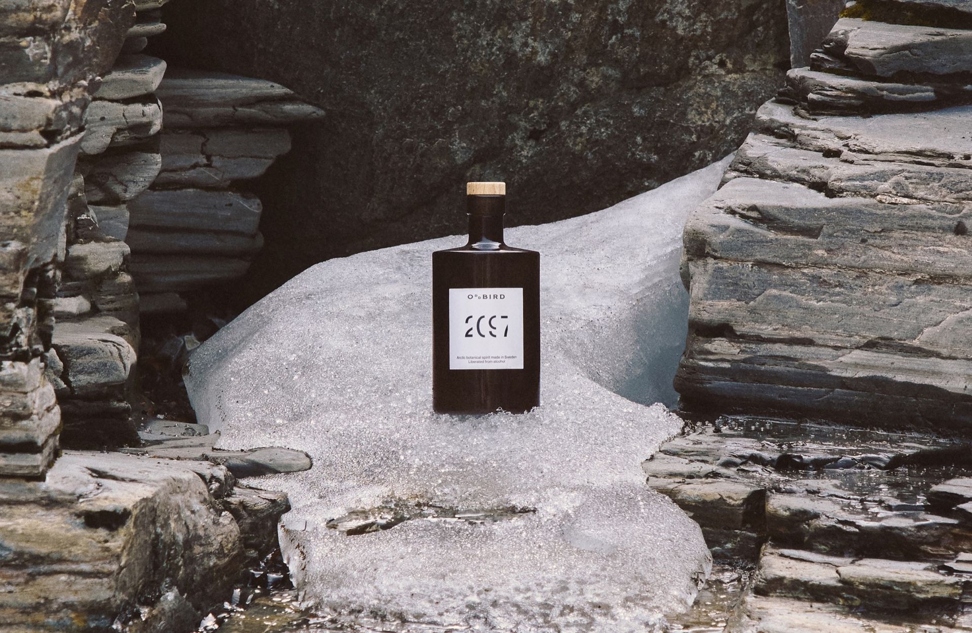 Alkoholfri gin från Oddbird