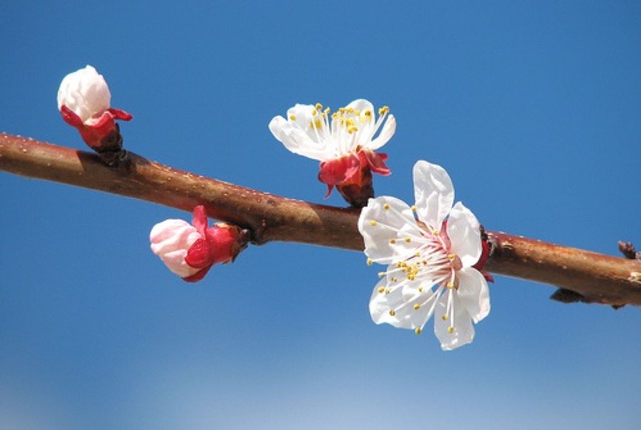 So long and thanks for all the fish