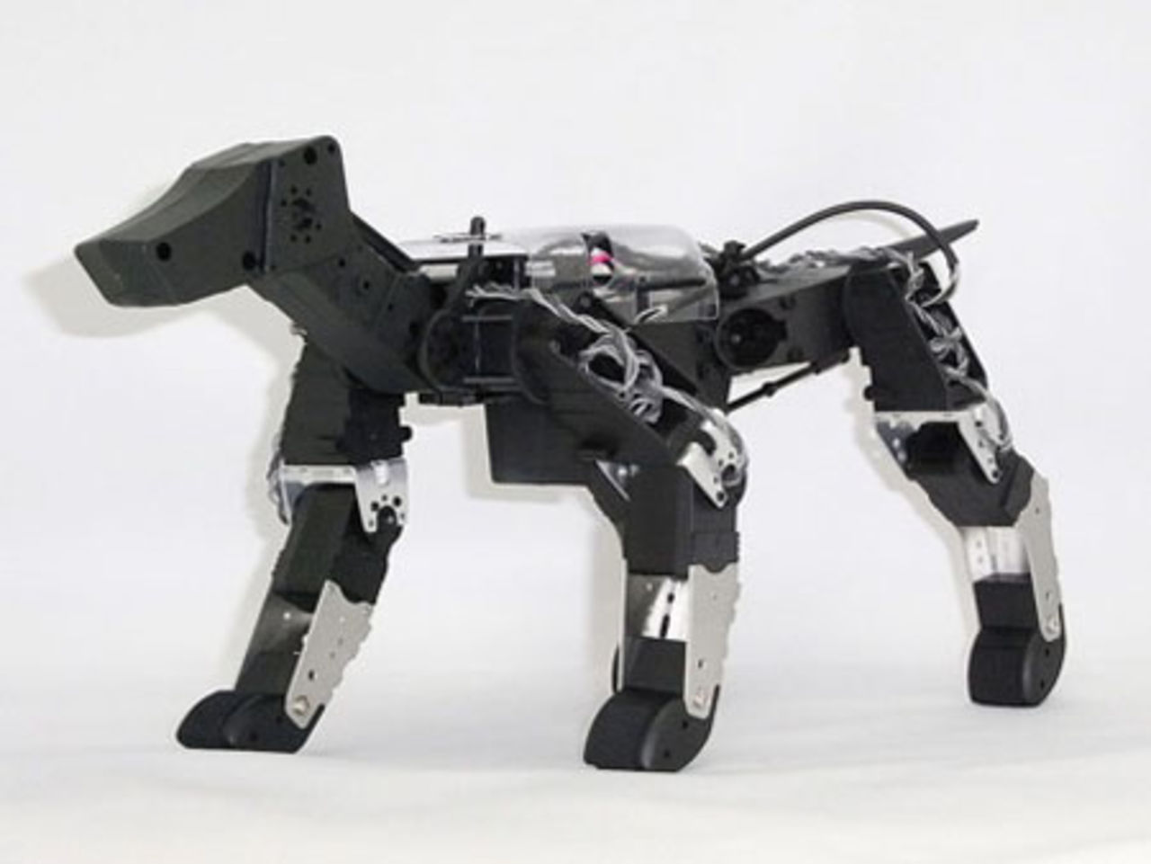 G-Dog - ny robothund