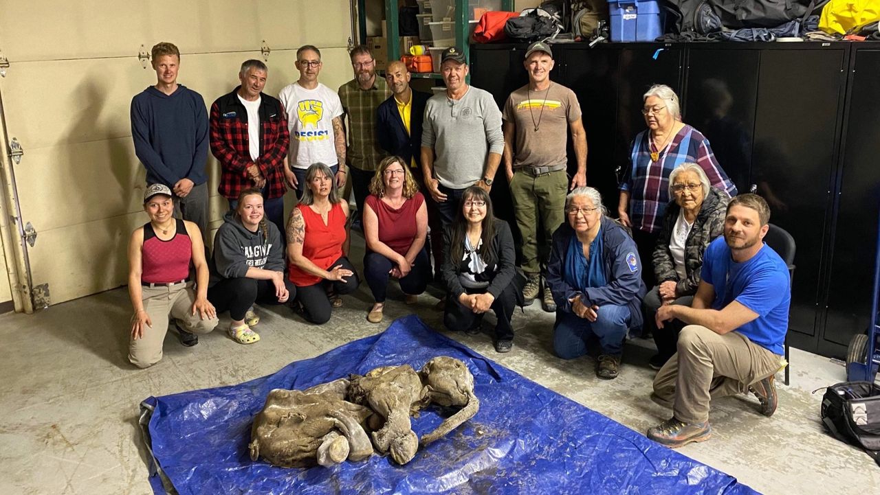 Gruvarbetare i Kanada hittar välbevarad mammutkalv