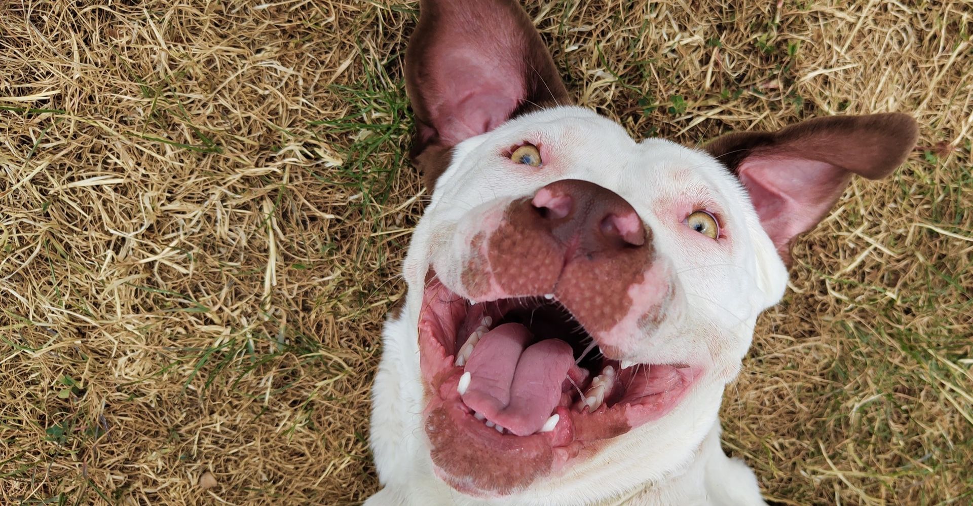 Några exempelbilder från Nothing phone (1)