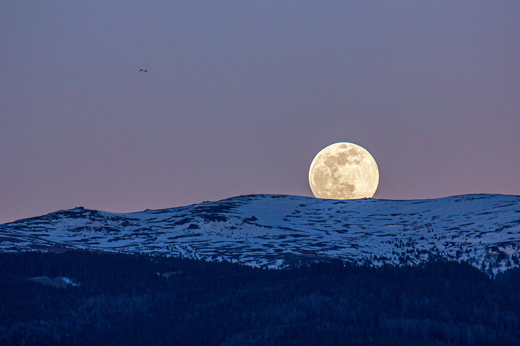 Oggi, quest’anno, la luna piena è più vicina alla Terra.  Dai un’occhiata a Supermoon stasera.