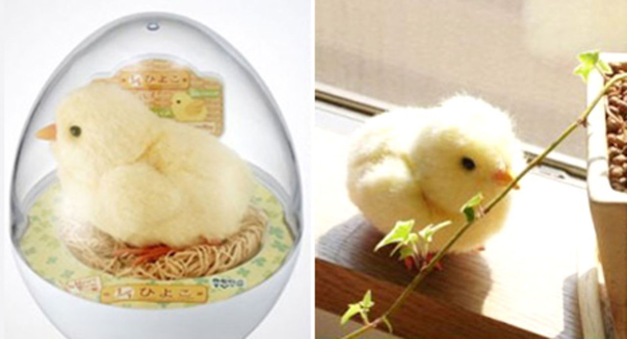 Robotkycklingen tittar fram