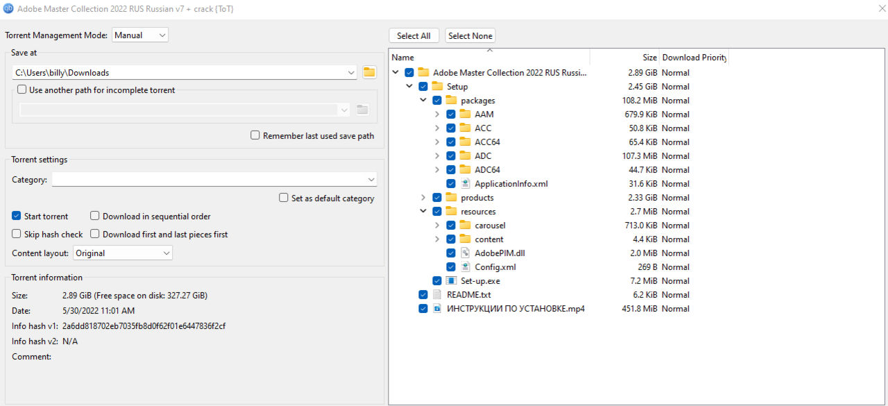 Torrents används för att kringgå rysk censur