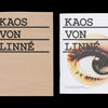 Bild till bildspel