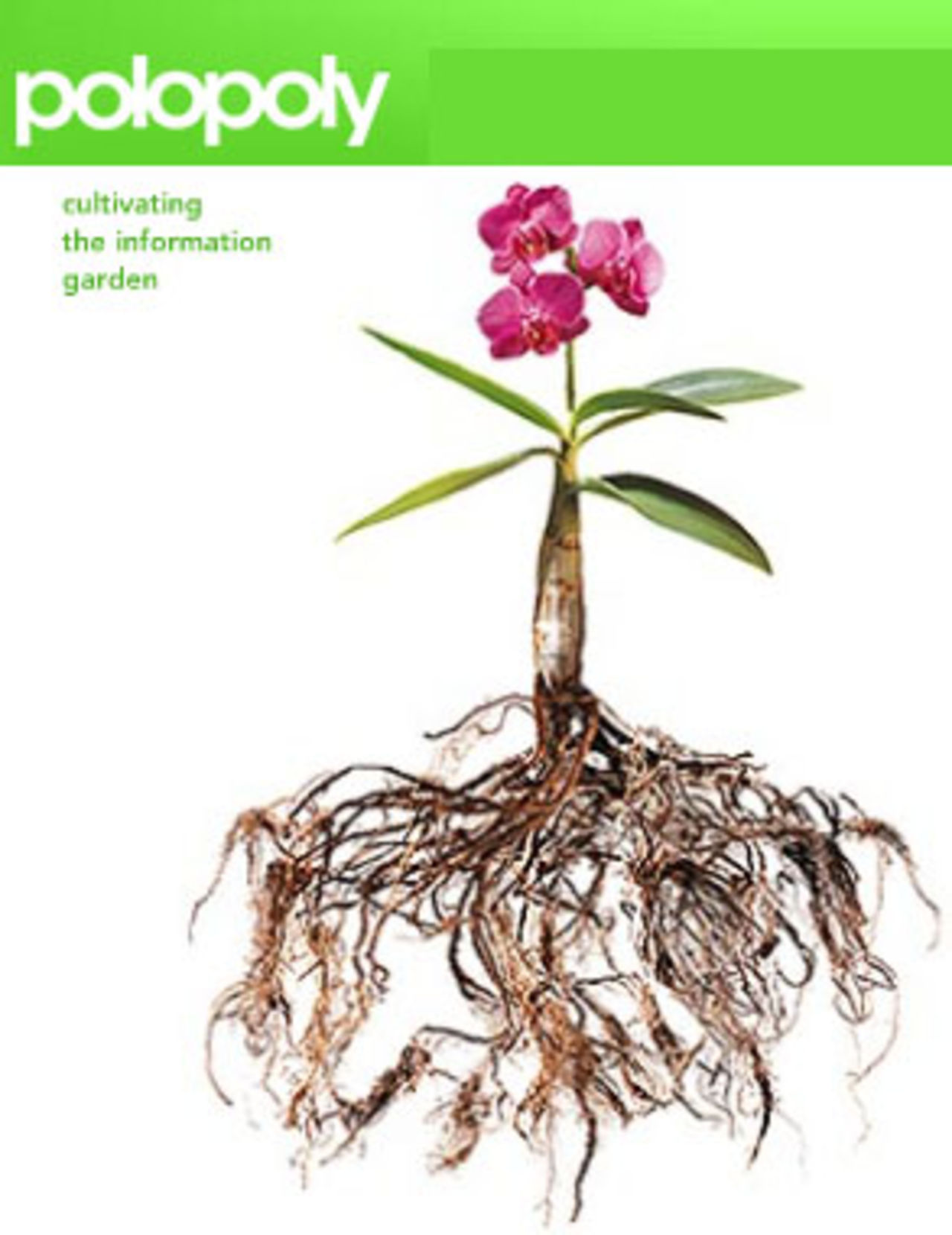 Polopoly köps av brittiska ATEX