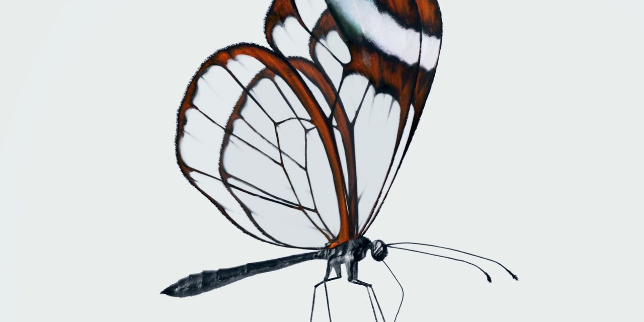 Nothing verkar ha något nytt på gång