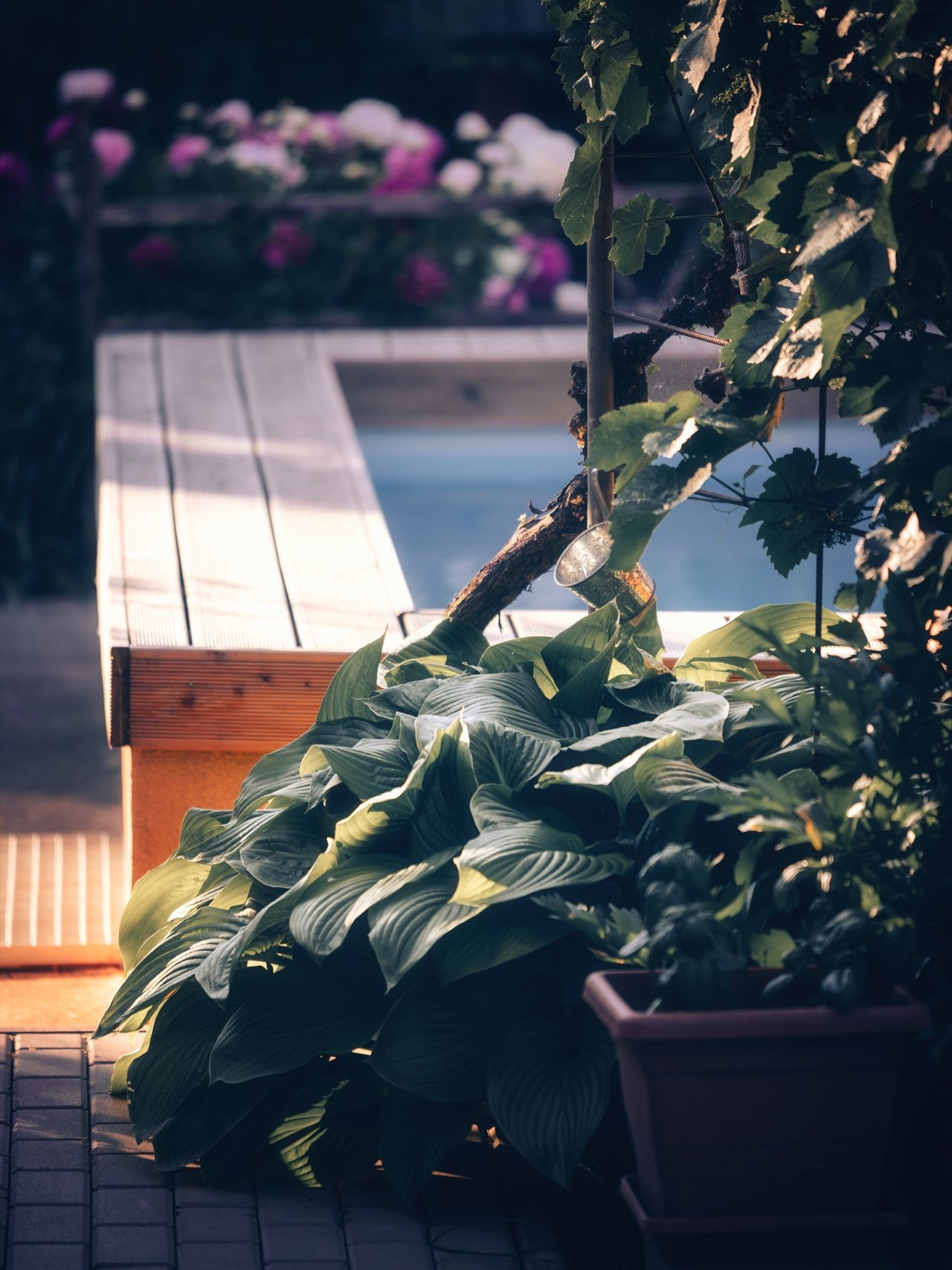 Hushåll paniksäljer spabad 