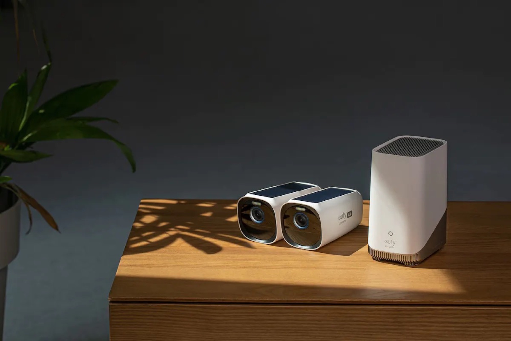 Eufy introduce nuove telecamere di sorveglianza intelligenti.  Le persone possono essere identificate attraverso l’elaborazione locale.