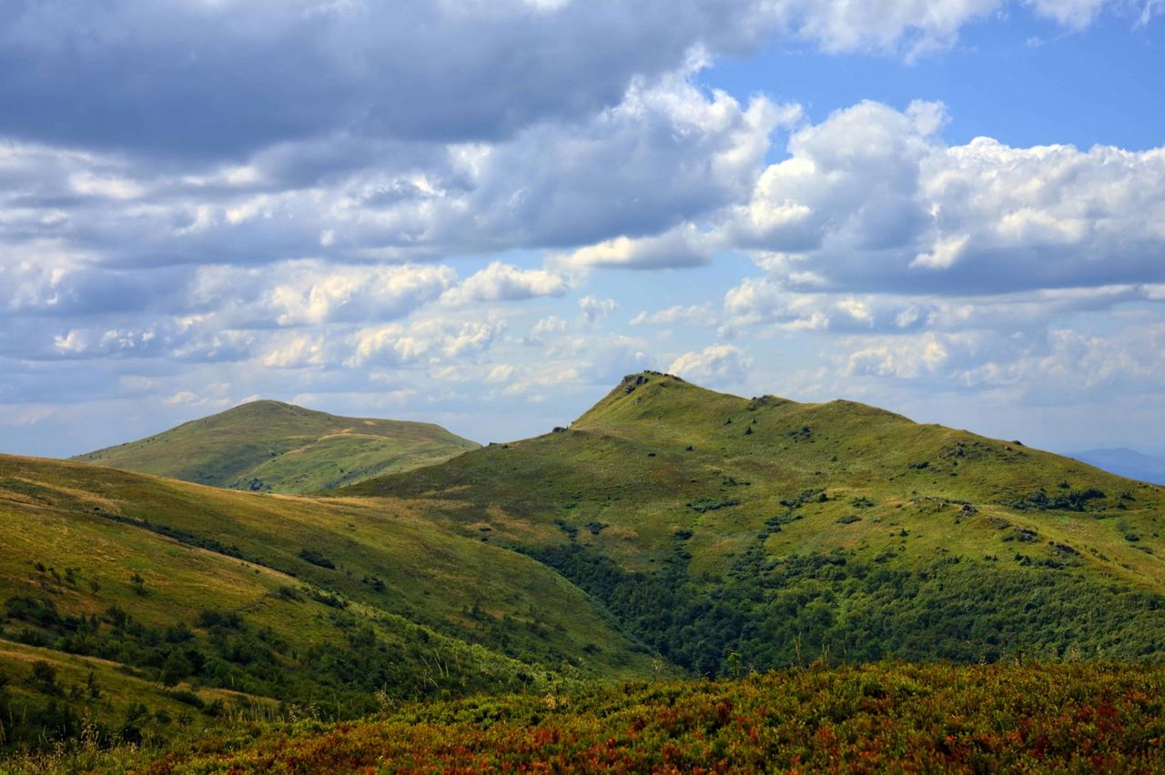 Fler överlever cancer