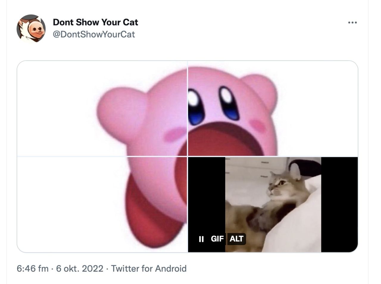 Nu går det att publicera olika medier i samma tweet