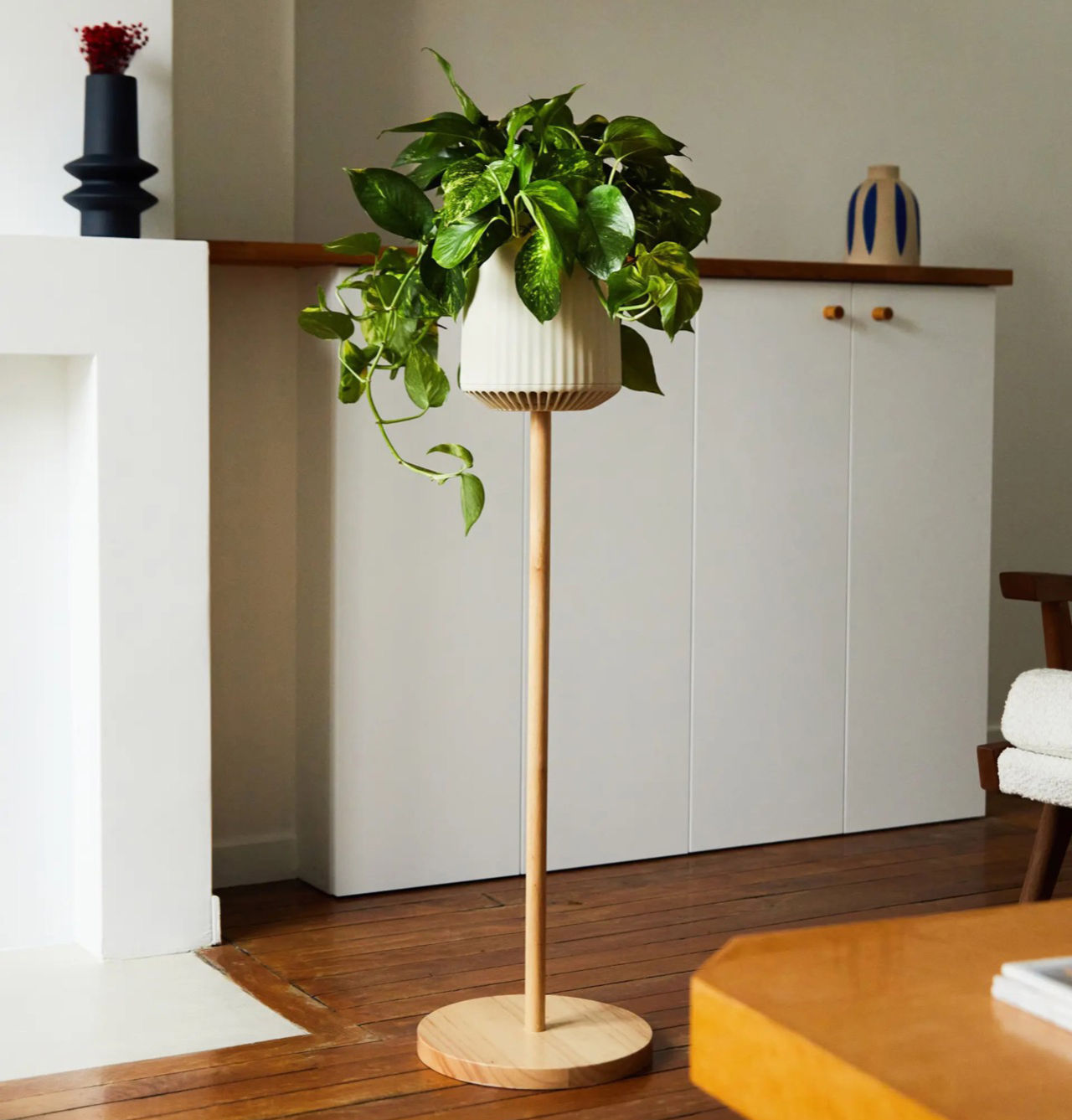 Neoplants släpper genmodifierade luftrenar-växten Neo P1