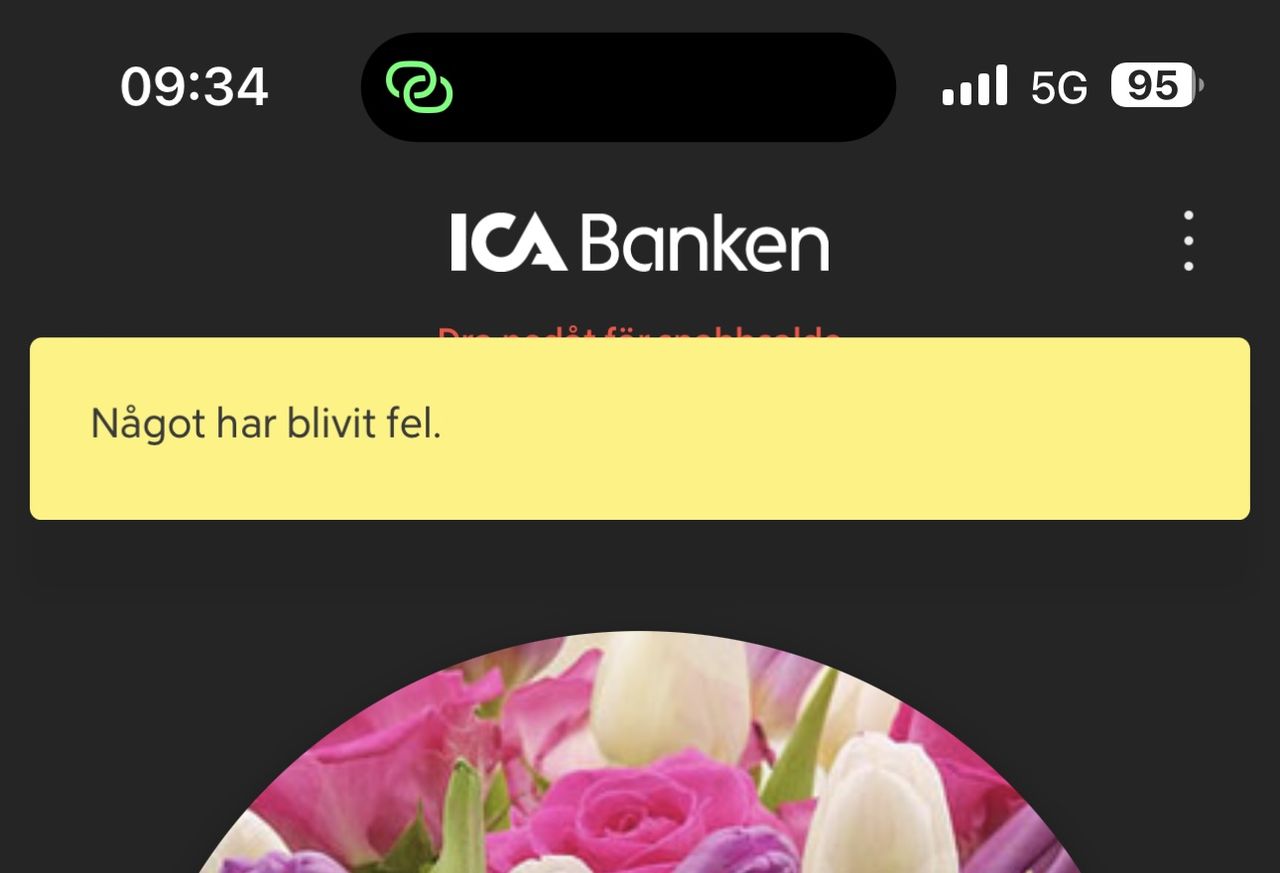 ICA <strike>har</strike> hade tekniska problem 