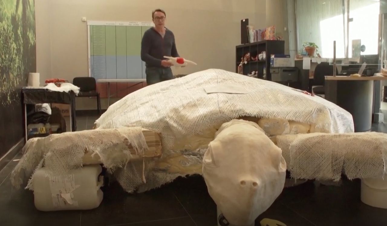 Enorm sköldpadda från kritaperioden upptäckt i Spanien