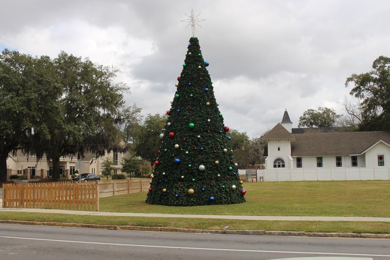 Har du gran hemma i år?