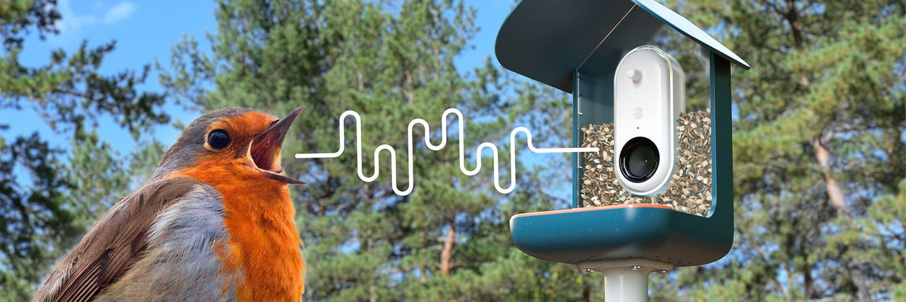 BirdBuddy är ett smart fågelbord