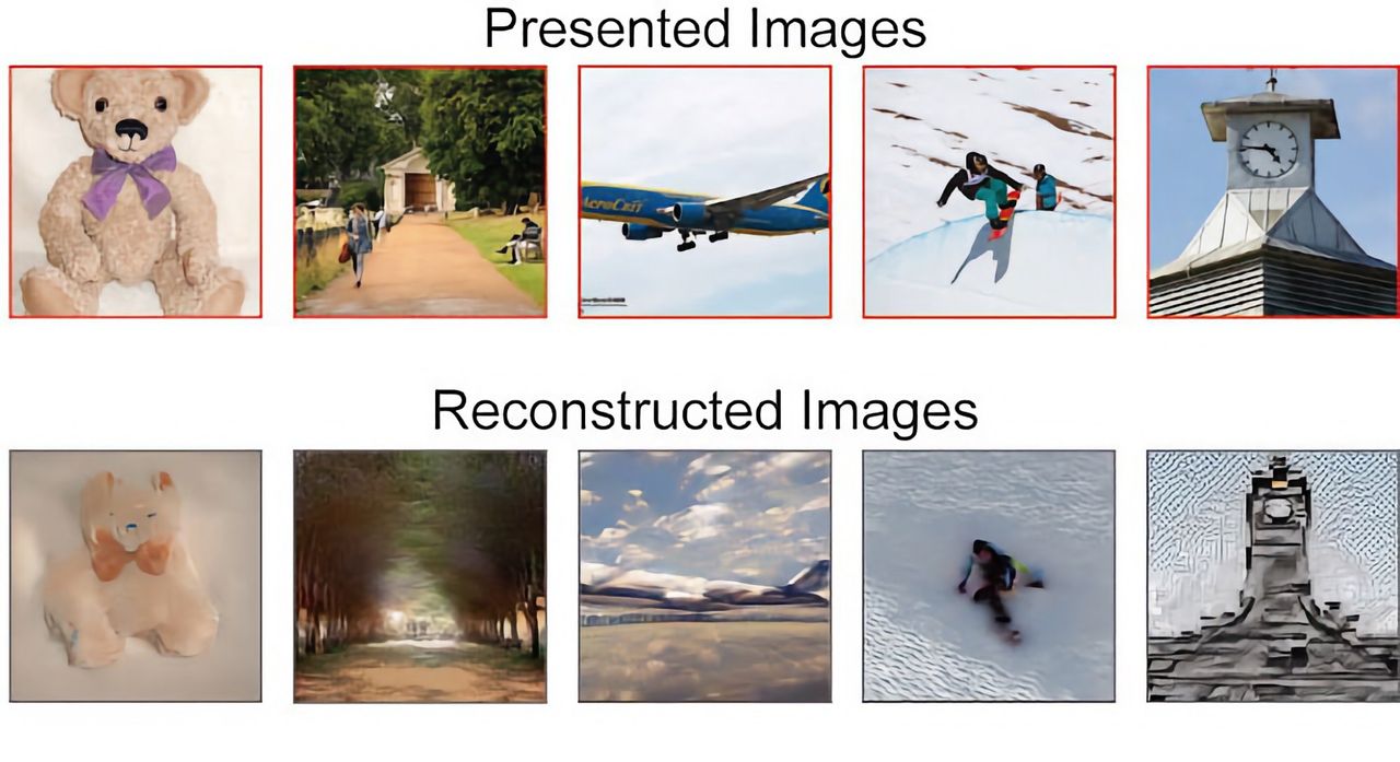 AI skapar bilder från hjärnverksamhet