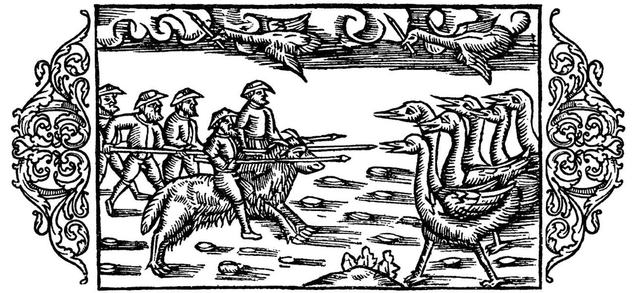 I dag är det Trandagen