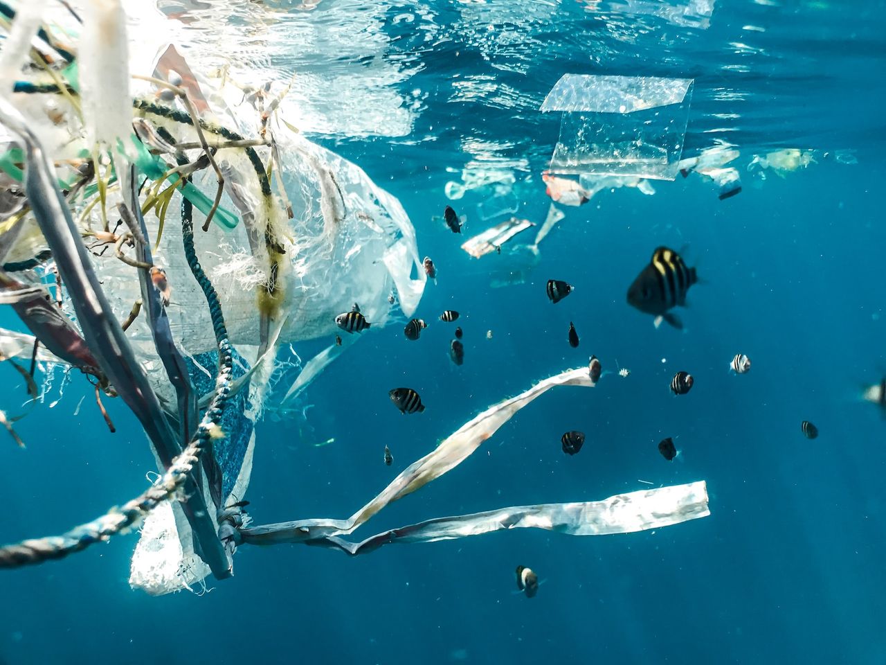 Inget nytt plastskräp i naturen till 2040