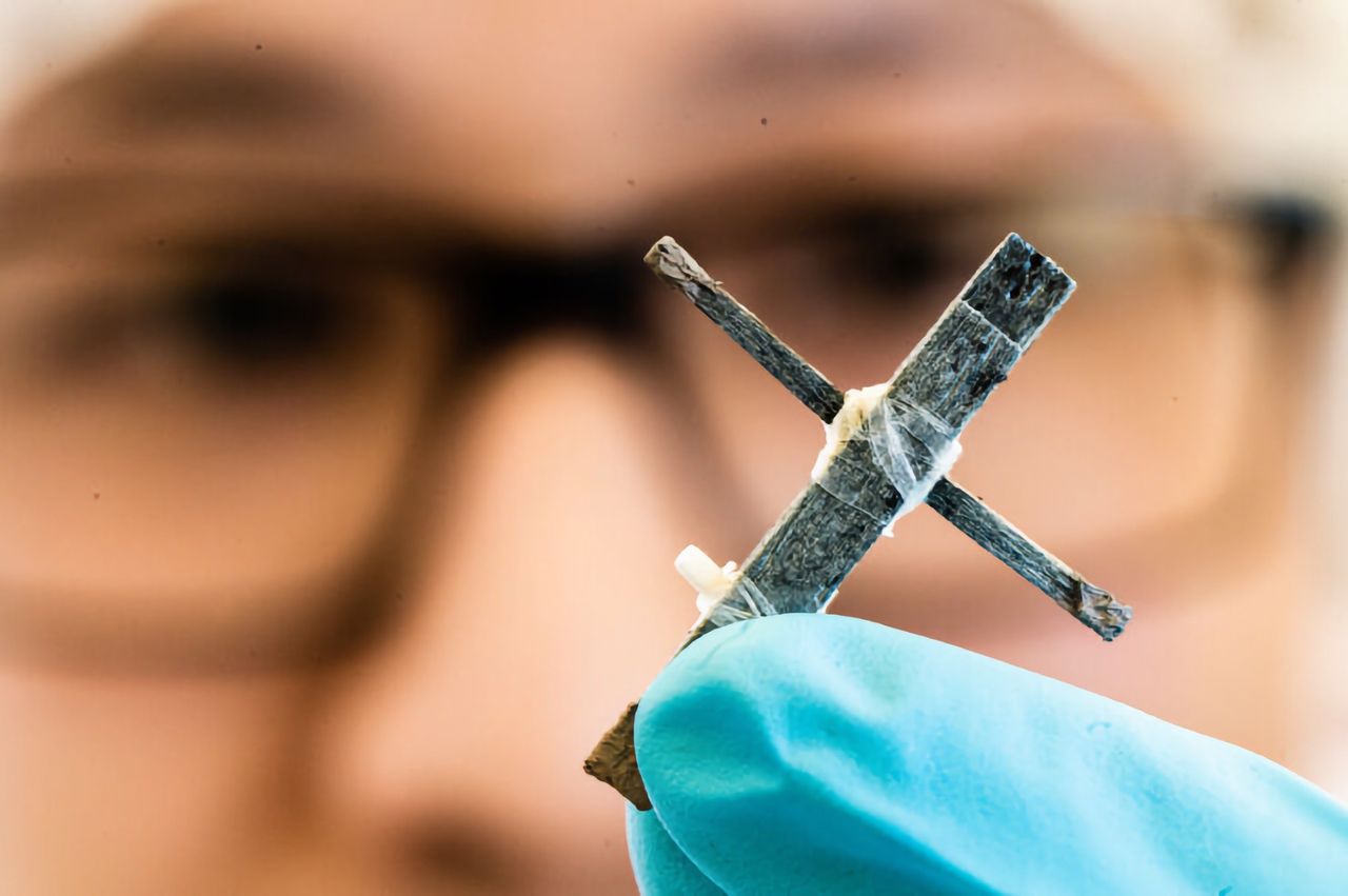 Swedish researchers create wooden transistor