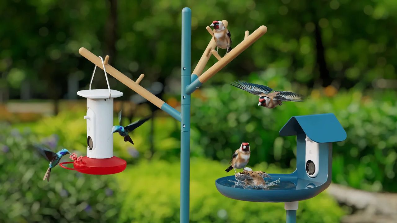 BirdBuddy unveils new bird feeders