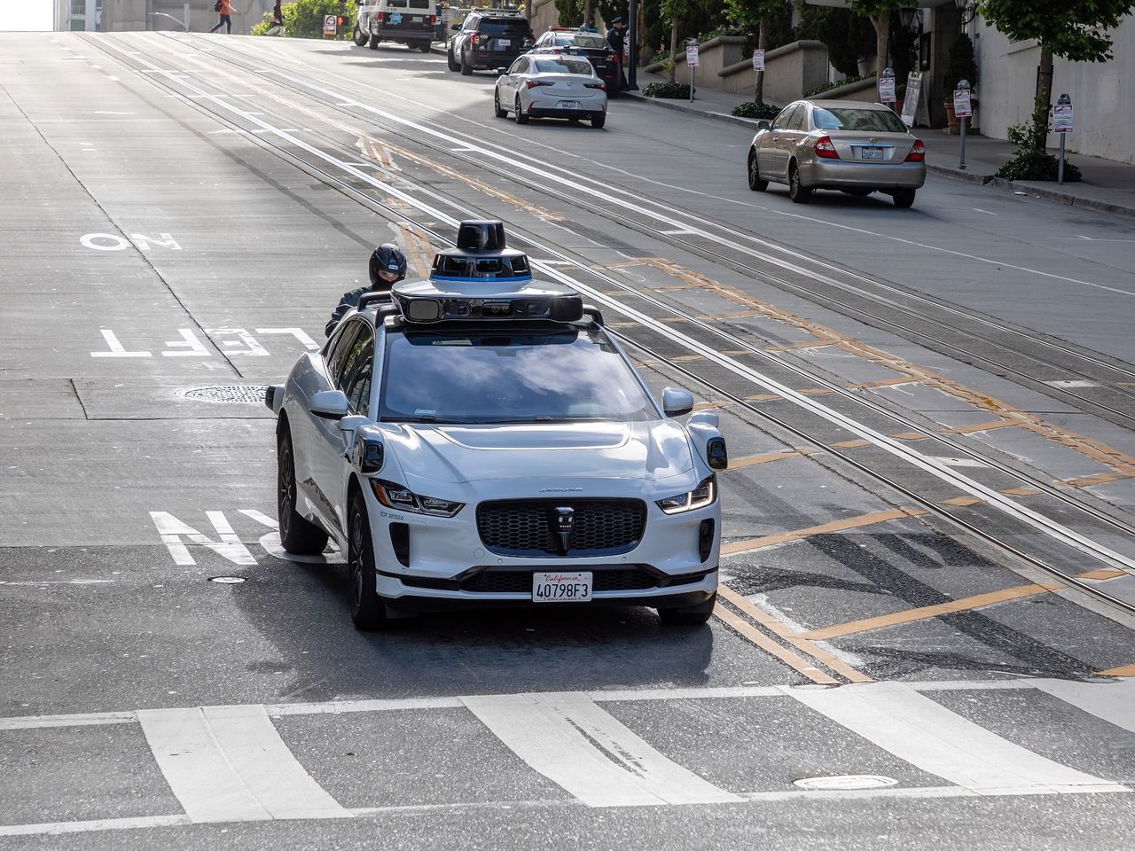 Self-driving car hits a dog