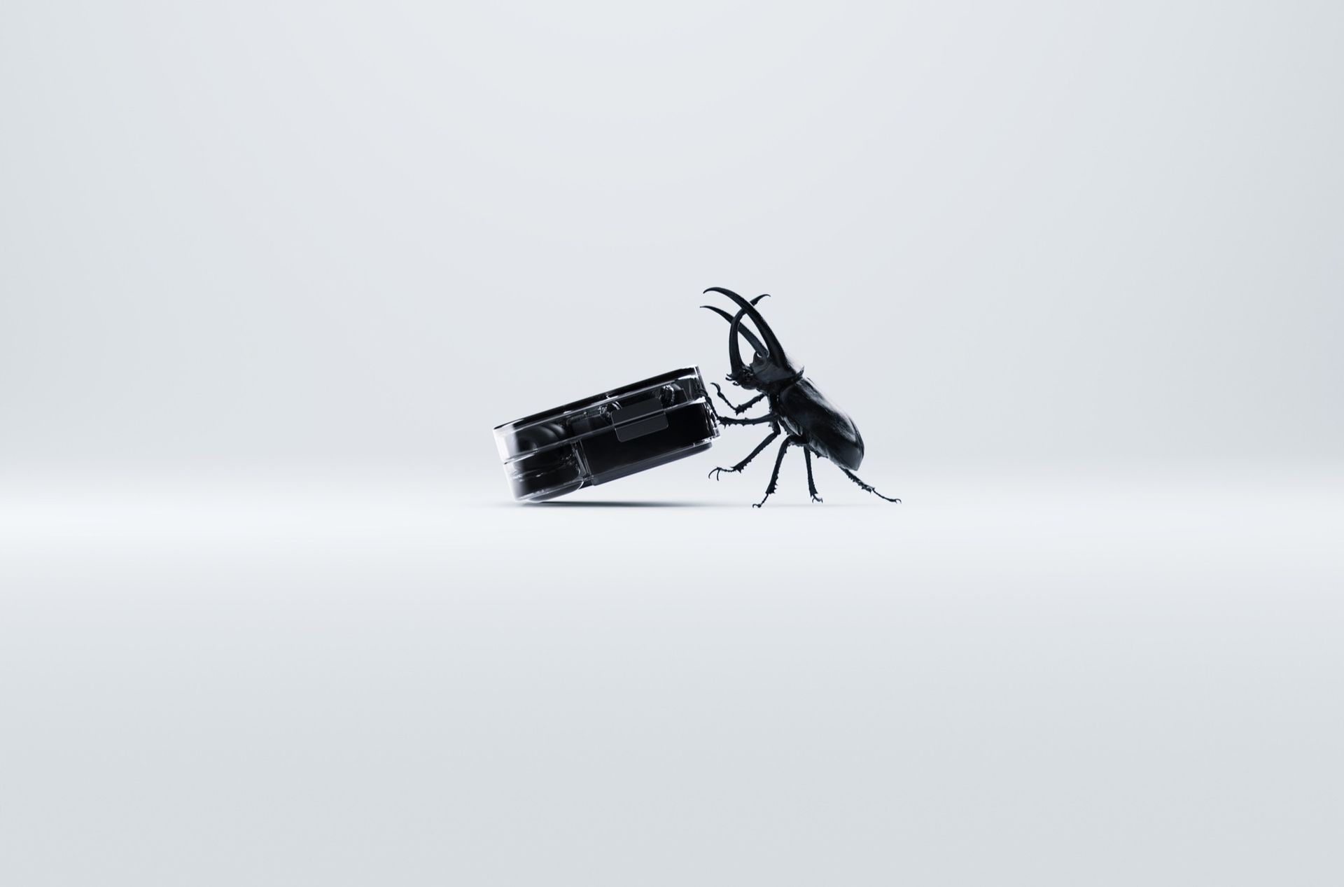 Nothing släpper Ear (2) i svart